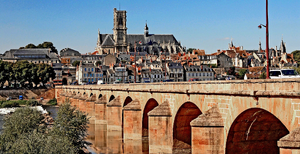 Désinsectisation dératisation Nevers